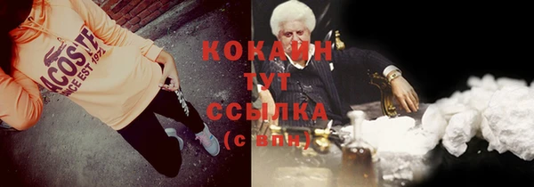 гидра Инта