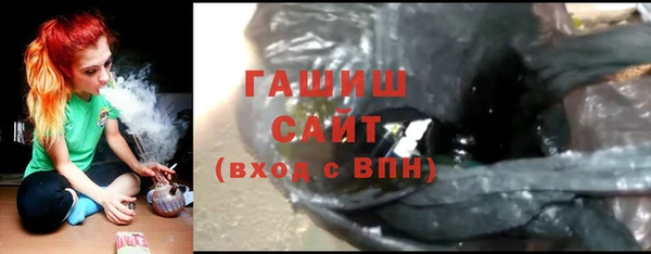гидра Инта