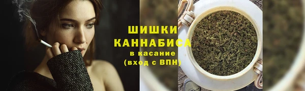 СК Инсар