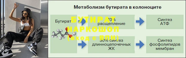 гидра Инта