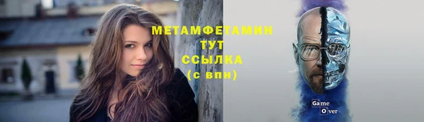 гидра Инта