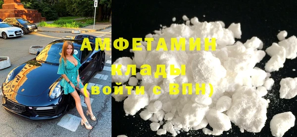 гидра Инта