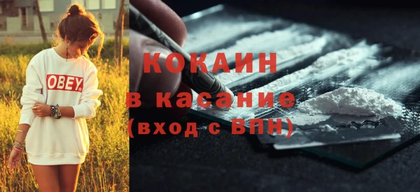 гидра Инта