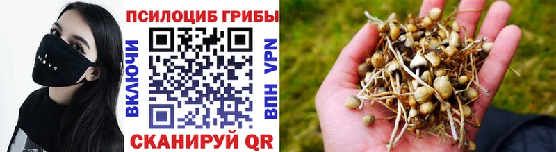 Купить закладки  Волхов  Галлюциногенные грибы ЛСД 